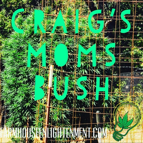 Your Poshbassator, Erin Jessica PS I ❤️ to recycle - Picture 6 of 8